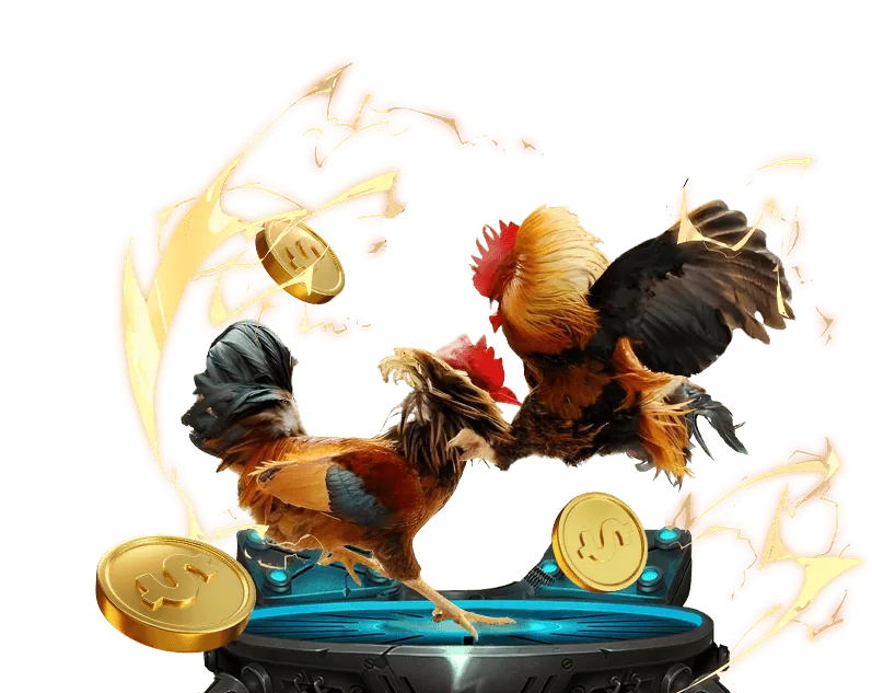 Kèo Meron (Nhà cái) trong đá gà